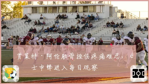 贾莱特·阿伦肋骨挫伤疼痛难忍，骑士中锋进入每日观察