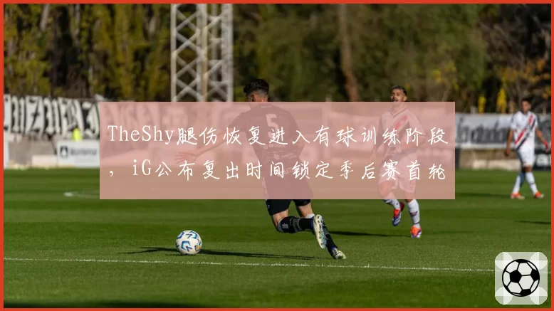TheShy腿伤恢复进入有球训练阶段，iG公布复出时间锁定季后赛首轮，粉丝担心状态仅恢复六成