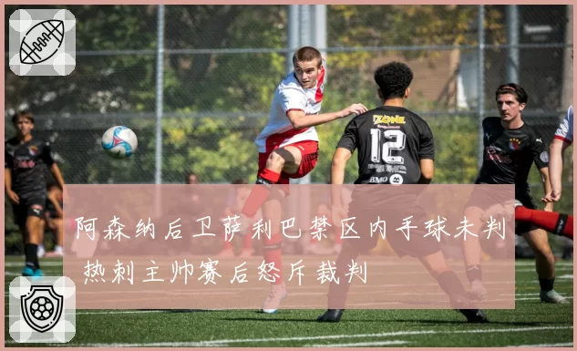 阿森纳后卫萨利巴禁区内手球未判 热刺主帅赛后怒斥裁判